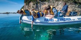 Hahei Explorer