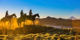 blue duck station horse riding thumb