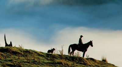 Horse Riding Blue Duck Station Stray Adventure Tour New Zealand