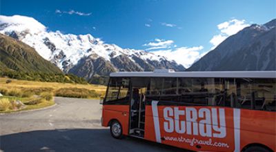 Stray New Zealand South Island copy