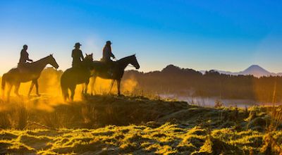 blue duck station horse riding thumb