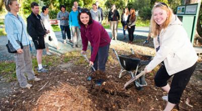 tree planting abel tasman