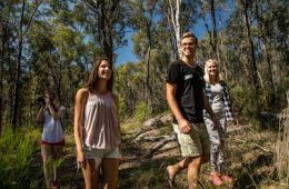 blue mountains thumbnail2