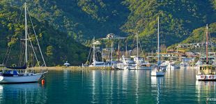 Picton Header Image 2