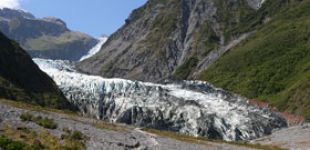 fox glacier thumb