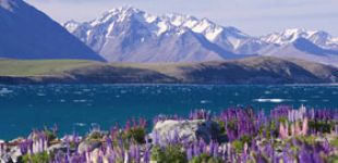 lake tekapo thumb