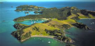 paihia thumb