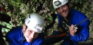 waitomo caves thumb