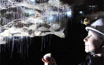 Activity Spellbound Waitomo