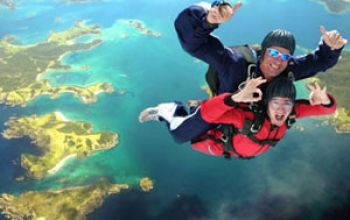 skydive bay of islands
