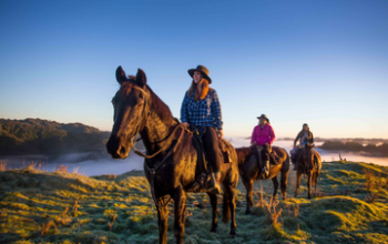 Blue Duck Horseriding