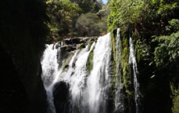 Blue Duck Waterfall Thumb