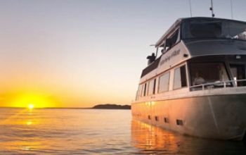 Raglan Sunset Cruise