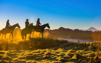 blue duck station horse riding thumb