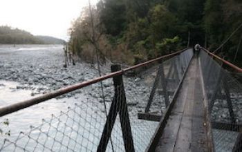 franz josef callery gorge bridge thumb