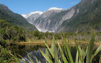 franz josef peters pool