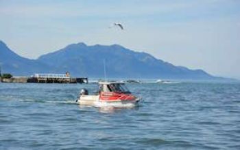 kaikoura fishing charters thumbnail