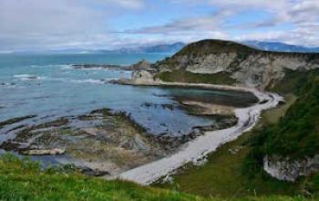 kaikoura peninsula walkway shellie evans gallery