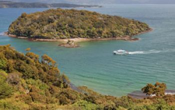 stewart island experience thumb