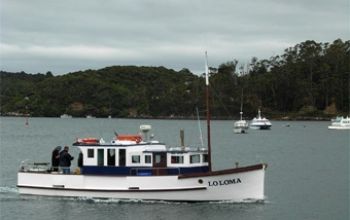 stewart island loloma fishing trip