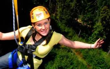 ziptrek ecotours thumb