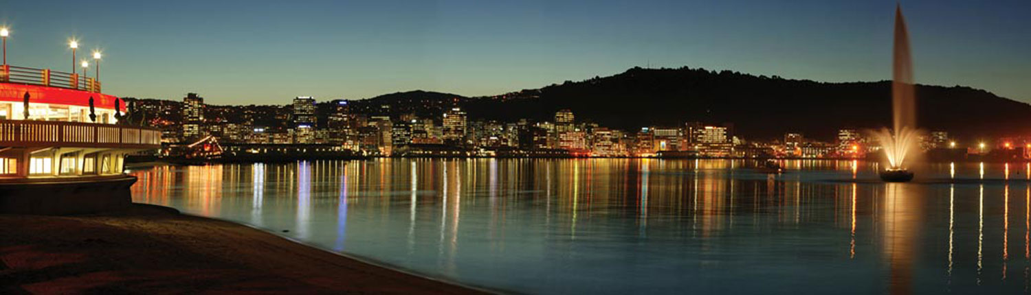 wellington at night